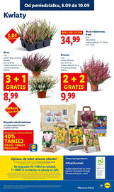 Lidl gazetka Strona 61