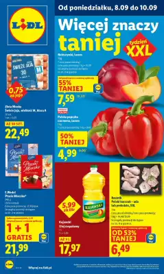 Lidl gazetka (ważność do 10-09)