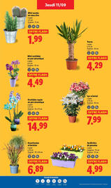 Catalogue Lidl semaine 37 page 29