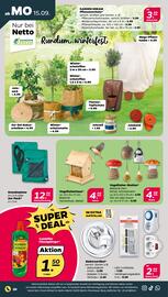 NETTO Prospekt woche 38 Seite 20