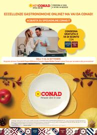 Volantino Spazio Conad | SAPORI Pagina 20