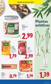 Catálogo Lidl semana 38 Página 27