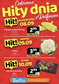 Delfin gazetka Strona 1