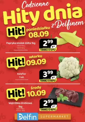 Delfin gazetka (ważność do 10-09)