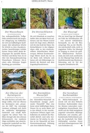 Rossmann DE magazine Pagina 44