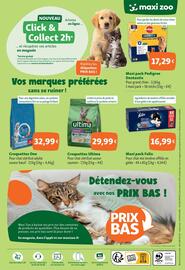 Catalogue Maxi Zoo page 6