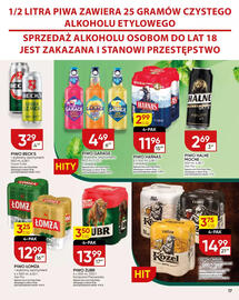 Chata Polska gazetka Strona 17