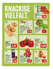 Feneberg Prospekt Seite 5