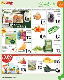 Volantino Conad City Pagina 3