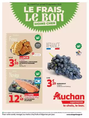 Auchan folder (geldig t/m 13-09)