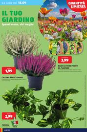 Volantino ALDI settimana 38 Pagina 30