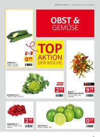 Transgourmet Flugblatt woche 38 Seite 13
