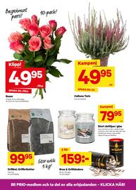 City Gross reklamblad vecka 37 Sida 10