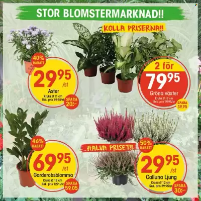 EKO reklamblad (giltig till och med 14-09)