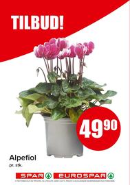 Eurospar kundeavis uke 37 Side 13