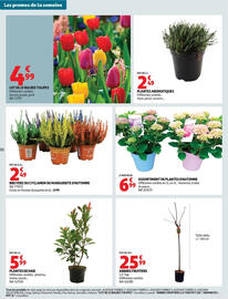 Catalogue Auchan Drive page 52