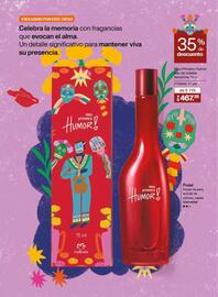 Catálogo Natura Página 17