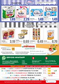 Volantino La Mimosa Supermercati Pagina 16