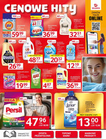 Selgros gazetka Strona 29