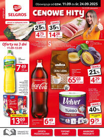 Selgros gazetka Strona 3