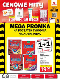 Selgros gazetka Strona 33