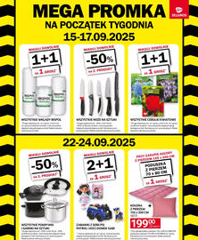 Selgros gazetka Strona 2