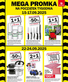 Selgros gazetka Strona 2