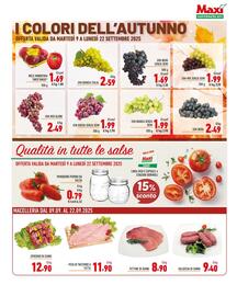 Volantino Maxi Supermercati Pagina 3