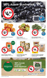 Coles catalogue week 37 Page 19