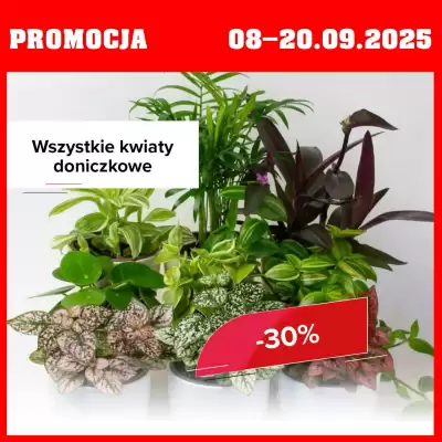 Szarotka gazetka (ważność do 20-09)