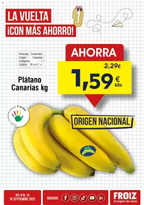 Folleto FROIZ (válido hasta el 14-09)