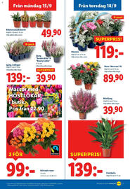 Lidl reklamblad vecka 38 Sida 19