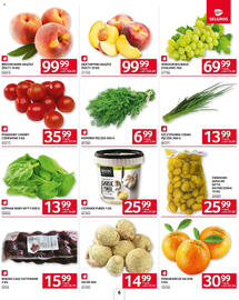 Selgros gazetka Strona 8