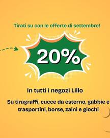 Volantino Lillo e i Vagabondi Pagina 2
