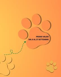 Volantino Lillo e i Vagabondi Pagina 3