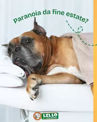 Volantino Lillo e i Vagabondi (valido fino al 27-09)