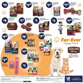 Family Dollar weekly ad Page 13
