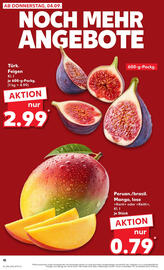 Kaufland Prospekt Seite 10