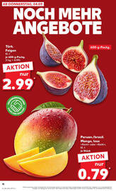 Kaufland Prospekt Seite 10