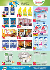 Shaklan leaflet Page 2