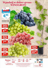 Auchan gazetka Strona 14