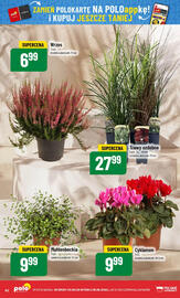 Polomarket gazetka tydzień 37 Strona 62