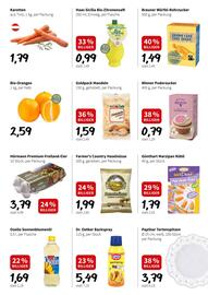 Eurogast Grissemann Flugblatt woche 37 Seite 5