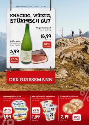 Eurogast Grissemann Flugblatt