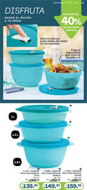 Catálogo Tupperware Página 36