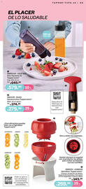 Catálogo Tupperware Página 65