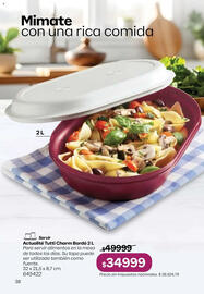 Folleto Tupperware Página 39