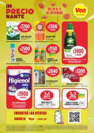 Catálogo Supermercados Vea semana 37 Página 9
