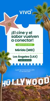 Catálogo VivaAerobus (válido hasta 11-01)