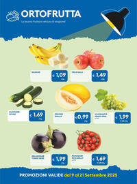Volantino MD Discount Pagina 5